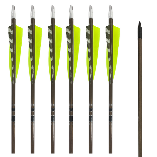 Classic Traditional Arrows - Dozen - Chartreuse