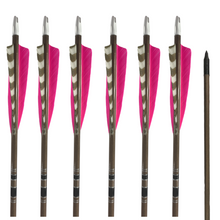 Load image into Gallery viewer, Classic Traditional Arrows - Dozen - Pink